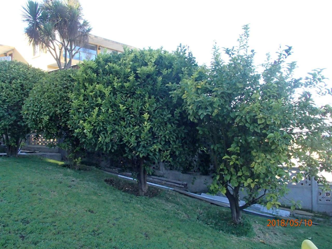 Hotel Camino Del Alto Vina del Mar Extérieur photo